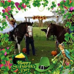 Meet your Posher, Marlene